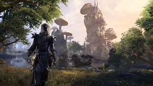 Игровой процесс The Elder Scrolls Online - Morrowind - "Возвращение в Морровинд"